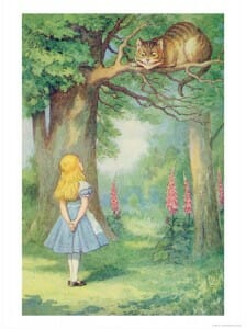 alice and the cat